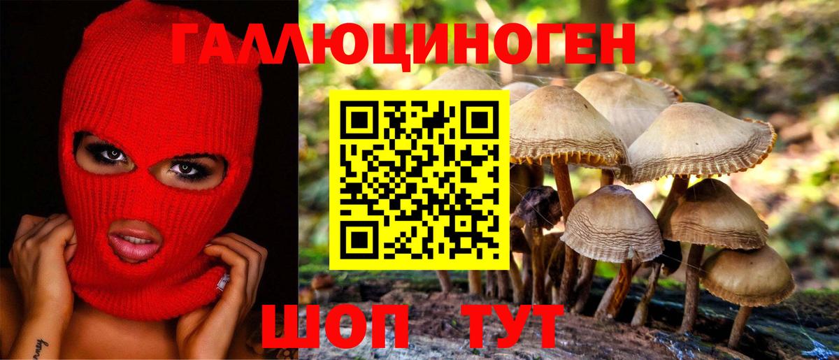 Амурск  Псилоцибиновые грибы Psilocybe  Вход с VPN 